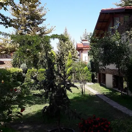 Villa Acelya *