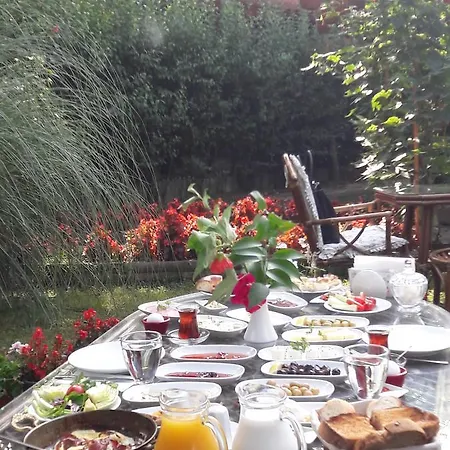 Acelya * Sakarya (Marmara)